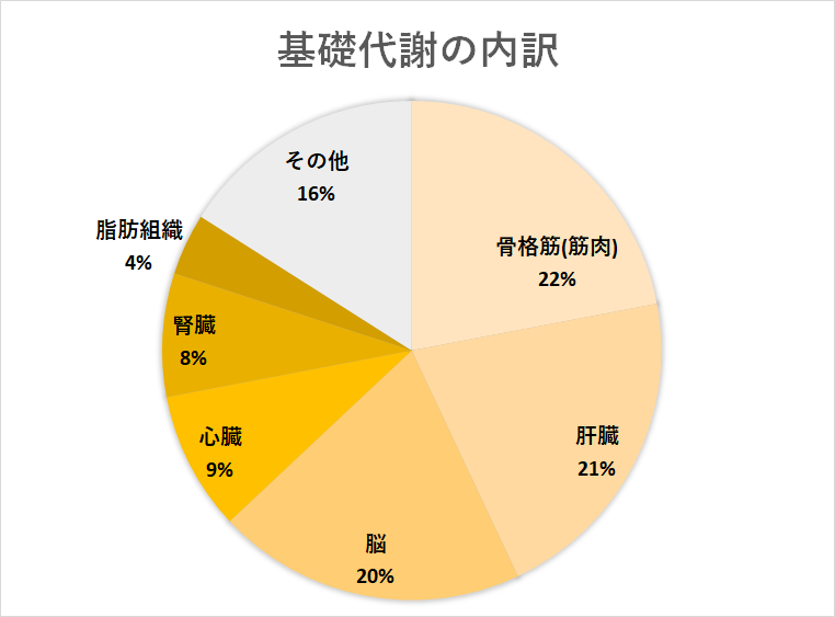 base_metabolism_1