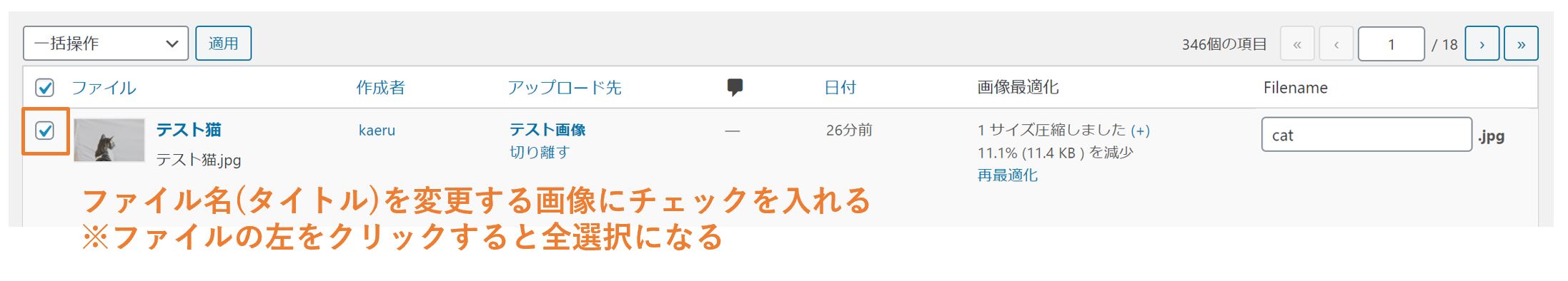 Phoenix-Media-Renameの使用方法
