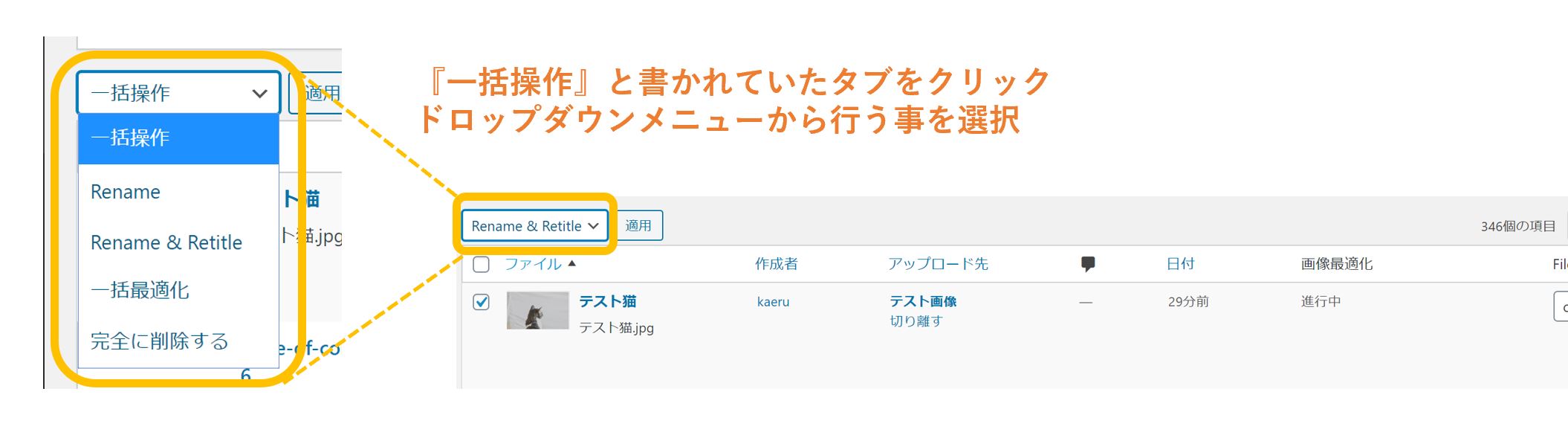 Phoenix-Media-Renameの使用方法