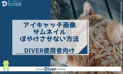 【Diver】アイキャッチ画像(サムネイル)をぼやけさせない方法