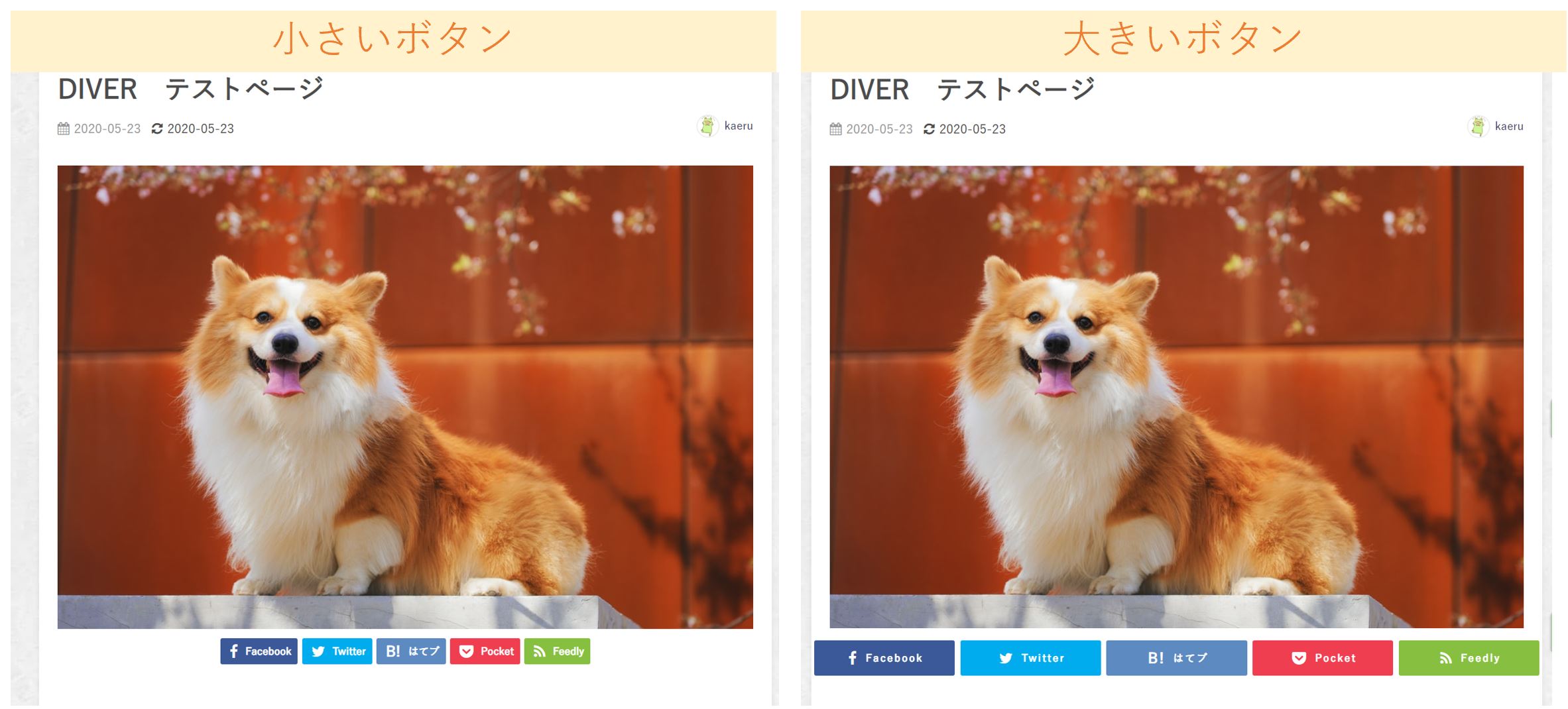 DIVER-SNSシェアボタン