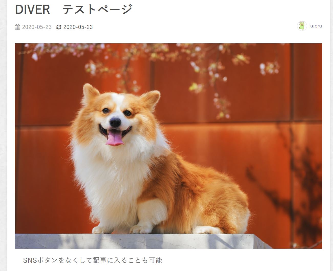 DIVER-SNSシェアボタン