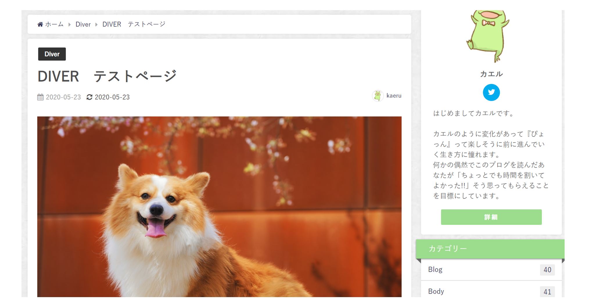 Diver-SNS追従設定