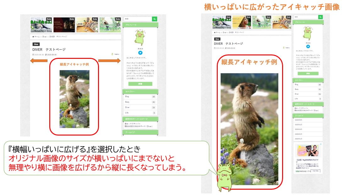 アイキャッチ画像の表示サイズ