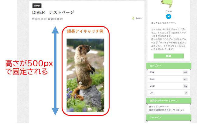 アイキャッチ画像の表示サイズ