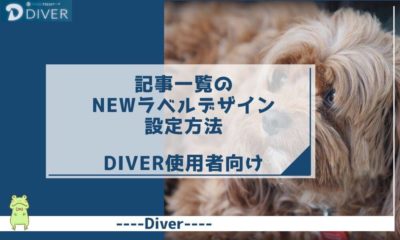 【Diver】記事一覧のNEWラベルデザイン設定方法