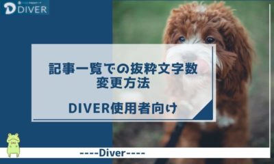【Diver】記事一覧での抜粋文字数の変更方法｜もっと見やすいサイトに