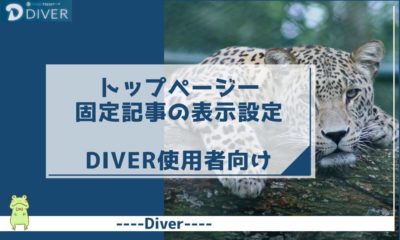 【Diver】トップページ一番上に固定記事を表示させる設定